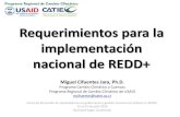 Requerimientos para la implementación nacional de REDD+MRV de resultados e ... Desarrollo/fortalecimiento de institucionalidad 3. Abordar causas deforestación y degradación ...