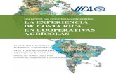 UN NODO DE COOPERACIÓN SOBRE: LA EXPERIENCIA DE COSTA …€¦ · realizadas por la Oﬁcina del IICA en Costa Rica y la División de Cooperación Horizontal del IICA, con el apoyo