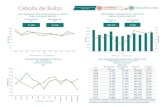 Cebolla de Bulbo - Agronet DE BULBO_2017.pdf · CEBOLLA DE BULBO 2007-2017 CEBOLLA DE BULBO 2007-2017 CALENDARIO DE SIEMBRAS Y COSECHAS ÁREA SEMBRADA, ÁREA COSECHADA , PRODUCCIÓN
