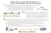 Aprende a usar Naturalista.mx para el BioBlitz de la Frontera 1nextgensd.com/wp-content/uploads/2019/02/BorderBioBlitz...Registra tus observaciones con la aplicación móvil Naturalista