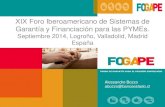 XIX Foro Iberoamericano de Sistemas de Garantía y ...forospain.redegarantias.com/documentos/presentaciones/taller21.pdf · Resultados Fogape Diciembre 2008-2013 Junio 2014 . Informe