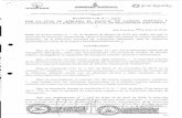 paraguay GOBIERNO NACIONAL NATRAN dinatran/organigrama general.pdf · a) No hallarse en las inhabilidades e incompatibilidades previstas en la Ley N° 1626/2000. b) No poseer retiro