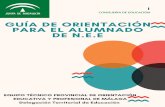 Asperger Málaga – Asociación Malagueña Síndrome de Asperger …aspergermalaga.es/.../10/guia-de-orientacion-para-NEE.pdf · 2017. 10. 16. · los alumnos y alumnas, con especial