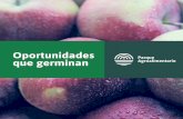 Oportunidades que germinan · TONELADAS DE 325.940 PRODUCTOS INGRESADOS AL MERCADO MODELO: DATOS DEL AÑO 2018 12,7 % 41.331 ton 6,5 % 21.033 ton 6,2 % 20.252 ton 5,0 % 16.305 ton