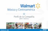 (BMV: Walmex) Overvie… · México: Resultados Acumulados 2019 (MX$ Millones) 2019 2018 NIIF 16 Pro-forma Var. 2018 Reportado Var. $ % $ % % $ % % Total ingresos 532,241 100.0 503,692