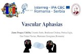 Aphasia in Ischemic Strokeneuro-vascular-dementia.eu/.../masa4/...aphasias.pdf• Fluent and non-fluent aphasias have been described with thalamic lesions. • Nevertheless, a clinical