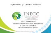 Dra. Cecilia Conde Coordinación General de Adaptación al ...amecafe.org.mx/wp-content/uploads/2016/09/UTT-9...Agricultura. Mapas de Aptitud Maíz de Temporal NA mA A MA Temperatura