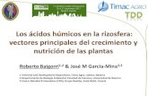 Roberto 1Baigorri & José M García-Mina - Acefer · Baigorri et al., J. Phys Chem B., 2007 . Intrinsic Factors Extrinsic Factors 1ª - 3ª Structural features Substrate characteristics,