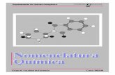Departamento de Química Inorgánicadepa.fquim.unam.mx/amyd/archivero/Nomenclatura1_10957.pdf · 2012. 5. 10. · NOMENCLATURA DE QUIMICA INORGÁNICA (Adaptado a las normas IUPAC