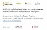 Presentación de PowerPointsicacao.info/wp-content/uploads/2020/...Honduras.pdf · En 2019, en los talleres realizados en Honduras, El Salvador, Guatemala, Nicaragua y la República