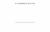 CURRICULUM...-“La responsabilidad por hiperenlaces e instrumentos de búsqueda en Internet”, Derecho de Daños Práctica, Revista de responsabilidad civil y seguros, año II, Nº