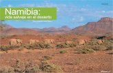 NAMIBIA Namibia - CEAV · de lomo negro, puerco espín, y el zorro del Cabo. La principal actividad gira en torno a las ex-cursiones por la mañana a las dunas de Sossusvlei a través