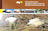 CADENA ALGODONERA SANTAFESINA - Portal · Cadena Algodonera Santafesina El total de productores algodoneros en el país, estimados por el PROINTAL en el 2001, fue de 32.059, con una
