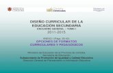 ENCUADRE GENERAL TOMO I 2011-2015 · Selección y articulación de formatos curriculares y pedagógicos En los Lineamientos Políticos y Estratégicos de La Educación Secundaria