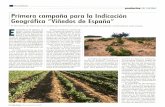 Primera campaña para la Indicación Geográfica Viñedo de ......Primera campaña para la Indicación Geográfica "Viñedos de España" EI Ministerio de Agricultura ha publicado el