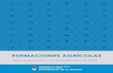 ESTIMACIONES AGRÍCOLAS - Argentina.gob.ar...INFORME SEMANAL al 19 de Septiembre 2019 Panorama Agroclimático ‒ Precipitaciones ‒ Temperaturas ‒ Estado de las reservas hídricas
