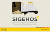 presentacion sigehos 2012 - Buenos Airesbuenosaires.gob.ar/.../presentacion_sigehos_2012.pdf · 2012. 11. 13. · 2002 2008 2012 2009 17 Hospitales Implementados 2010 19 Hospitales