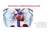 Presentación de PowerPoint · infarto agudo al miocardio 3.1 generalidades 3.2 fisiopatologia iam 4. insuficiencia cardiaca 4.1insuficiencia del corazon izquierdo 4.2 insuficiencia