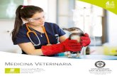Medicina Veterinaria - San Sebastián University · La Facultad de Medicina Veterinaria de la Universidad San Sebastián cuenta con modernos Hospitales Clínicos Veterinarios propios