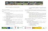 “Maratón Fotográfico por la Biodiversidad”fnyh.org/wp-content/uploads/2018/05/base-concurso-ma... · 2018. 5. 22. · Flora y fauna: imágenes de flora y fauna de especies autóctona