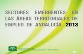 Sectores emergentes en las áreas territoriales de empleo de …servicios.diariosur.es/fijas/multimedia/sectores-emergentes.pdf · Sistema de Prospección Permanente del Mercado de
