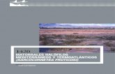 New Matorrales halófilos Mediterráneos y terMoatlánticos … · 2010. 3. 18. · 2. Tipos de hábiTaT cosTeros y halofíTicos / 1420 . MatorraLEs haLófiLos MEditErránEos y tErMoatLánticos