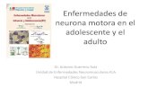 Enfermedades de neurona motora en el adolescente y el adulto · Esclerosis lateral amiotròfica-Enfermedad neurodegenerativa -Incidencia: 2-3/100.000 hab/año (EURALS)-Prevalencia: