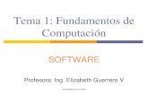 Tema 1: Fundamentos de Computación · Software Propietario Software propietario también llamado software privativo o software no libre, es una concepción opuesta a software libre,