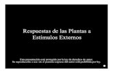 Respuestas de las Plantas a Estímulos Externos · 2018. 8. 31. · Respuestas de las Plantas a Estímulos Externos Esta presentación está protegida por la ley de derechos de autor.