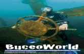 BuceoWorld · Title: BuceoWorld Created Date: 2/14/2011 4:14:34 PM