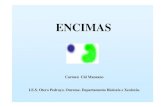 ENCIMAS - Galiciacentros.edu.xunta.es/.../Programa_archivos/Presentacions/09_encimas.… · As encimas son proteínas ou asociación de proteínas con outras moléculas orgánicas