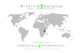 Xperience XperienceWildlife No es tan solo un viaje, eswildlifexperience.com/info/tanzania.pdf · Os presentamos lo que será una gran experiencia fotográfica. Un viaje fotográfico