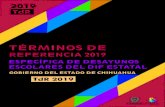 TÉRMINOS DE - Chihuahuaihacienda.chihuahua.gob.mx/tfiscal/indtfisc/pae/TdR_G_2019.pdf · decisiones, así como para juzgar la eficacia y, por ende, la permanencia o la necesidad