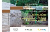Forma correcta de citar - rdurazo.ens.uabc.mxrdurazo.ens.uabc.mx/publicaciones/pdfs/Oliva-Mendez_et_al_2015... · 1.29 Estimación de captura de carbono por la especie Pinus hartwegii