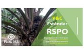 Comite Nacional de Palma · la planta extractora requiere: Localización geográfica de los origenes de los RFF Estatus de propiedad o evidencia de derecho a la tierra Donde aplique,