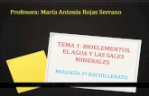Profesora: María Antonia Rojas Serranomariarojas.iescla.org/wp-content/uploads/2020/09/TEMA-1-BIOELEM… · Los bioelementos se agrupan formando las biomoléculas o principios inmediatos,