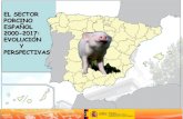 EL SECTOR PORCINO ESPAÑOL 2000-2017: EVOLUCIÓN Y …€¦ · ESPAÑOL 2000-2017: EVOLUCIÓN Y PERSPECTIVAS. Resumen 1. Características y evolución del sector porcino español: