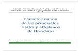 SECRETARIA DE AGRICULTURA Y GANADERIA S A G DIRECCIÓN …dicta.gob.hn/files/2002,-Caracterizacion-de-valles-y-altiplanos... · SECRETARIA DE AGRICULTURA Y GANADERIA S A G DIRECCIÓN