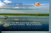 Guía de Plantas Útiles del Pantanal Boliviano · el Pantanal de Bolivia, crece principalmente en los siguientes ecosistemas: Bosque chiquitano transicional al Pantanal de San Matías