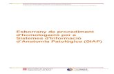 Esborrany de procediment d'homologació per a Sistemes d ... · 1 de 37 Criteris de conformitat, sistemes de Anatomia Patologica Criteris per la conformitat amb la interoperabiitat