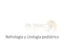 Nefrología y Urología pediátrica · 2019. 8. 10. · Torsión de hidátide de Morgagni: generalidades • Causa más común de dolor testicular de los 2-10 años de edad • Presentación