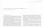 Marjaleria de Cabanes-Torreblanca · IGME: lnformes del acuifero de la Plana, Oropesa-Torreblanca 1977. CAVAILLES, A. J.: Observaciones sobre la historia na-tural, geografica, agricultura,