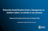 Protección Social Reactiva frente a Emergencias en América Latina y … · 2018. 11. 19. · En Perú, el gobierno otorgó transferencias monetarias extraordinarias a los usuarios