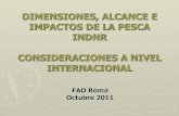 DIMENSIONES, ALCANCE E IMPACTOS DE LA PESCA INDNR ...cpps.dyndns.info/cpps-docs-web/secgen/2011/sept/taller_acuerdo_re… · RESPUESTAS DE TIPO GLOBAL 1999 - Reunión Ministerial
