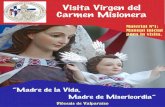 Visita Virgen del Carmen Misionera · Virgen del Carmen Misionera estará visitando nuestra diócesis entre los días 8 al 20 de noviembre. Es una gran oportunidad para conocer en