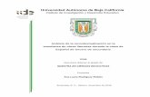 Universidad Autónoma de Baja Californiaiide.ens.uabc.mx/documentos/divulgacion/tesis/MCE/Ana... · 2020. 8. 5. · I Resumen En este trabajo de investigación se analizó la recontextualización