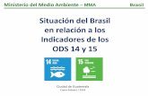 Situación del Brasil en relación a los Indicadores de ... · áridas, en consonancia con las obligaciones contraídas en virtud de acuerdos internacionales 15.1.1 Superficie forestal