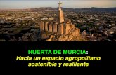 HUERTA DE MURCIA...Vertebrar una cadena agroalimentaria agroecológica entre la Huerta de Murcia y los núcleos urbanos adyacentes. Finalidad Contribuir a la conservación del espacio