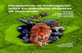 Perspectivas de investigación sobre los mamíferos ... · de investigación sobre los mamíferos silvestres de Guatemala. Ciudad de Guatemala, Guatemala: Asociación Guatemalteca