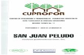 New SAN JUAN PELUDO - ITTO 94/pd 47-94... · 2012. 10. 5. · La madera de V. guatemalensis presenta porosidad difusa desuniforme, con poros de dos tamanos. Los poros son pocos, de